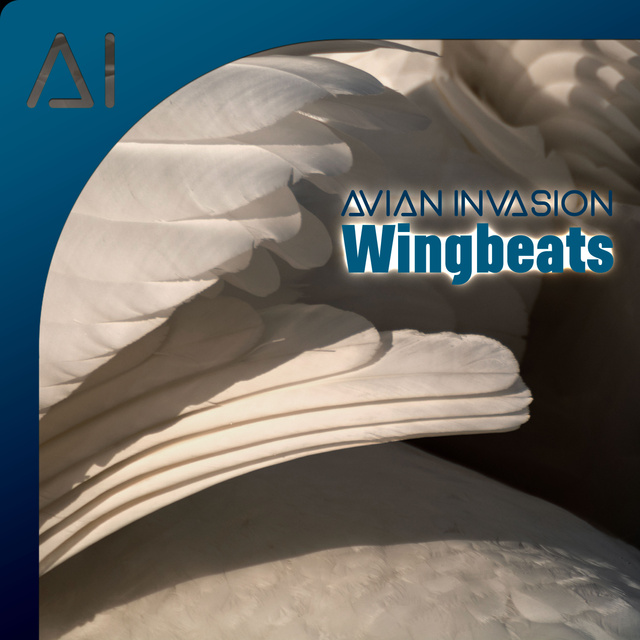Wingbeats