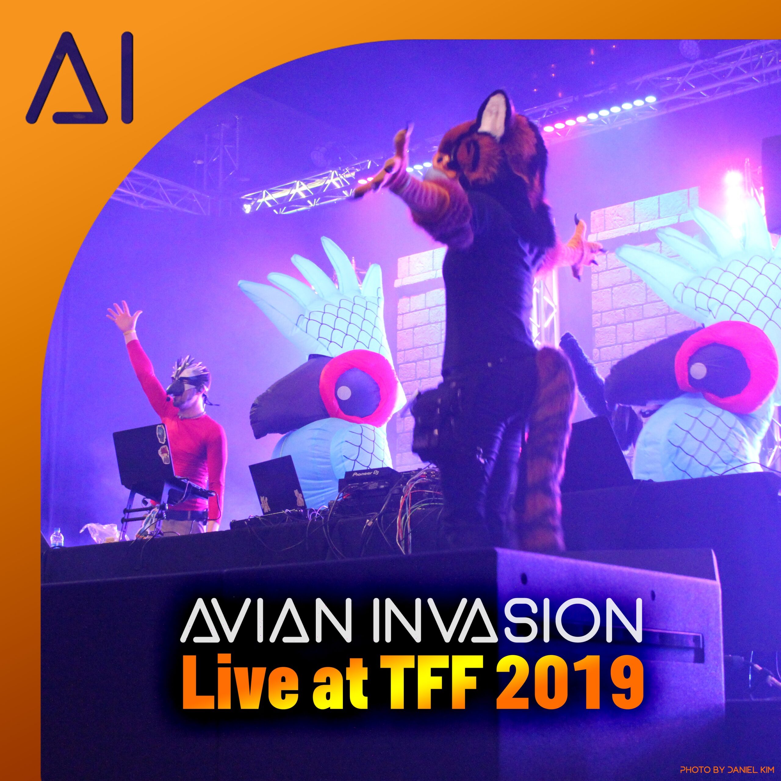 Live at TFF 2019