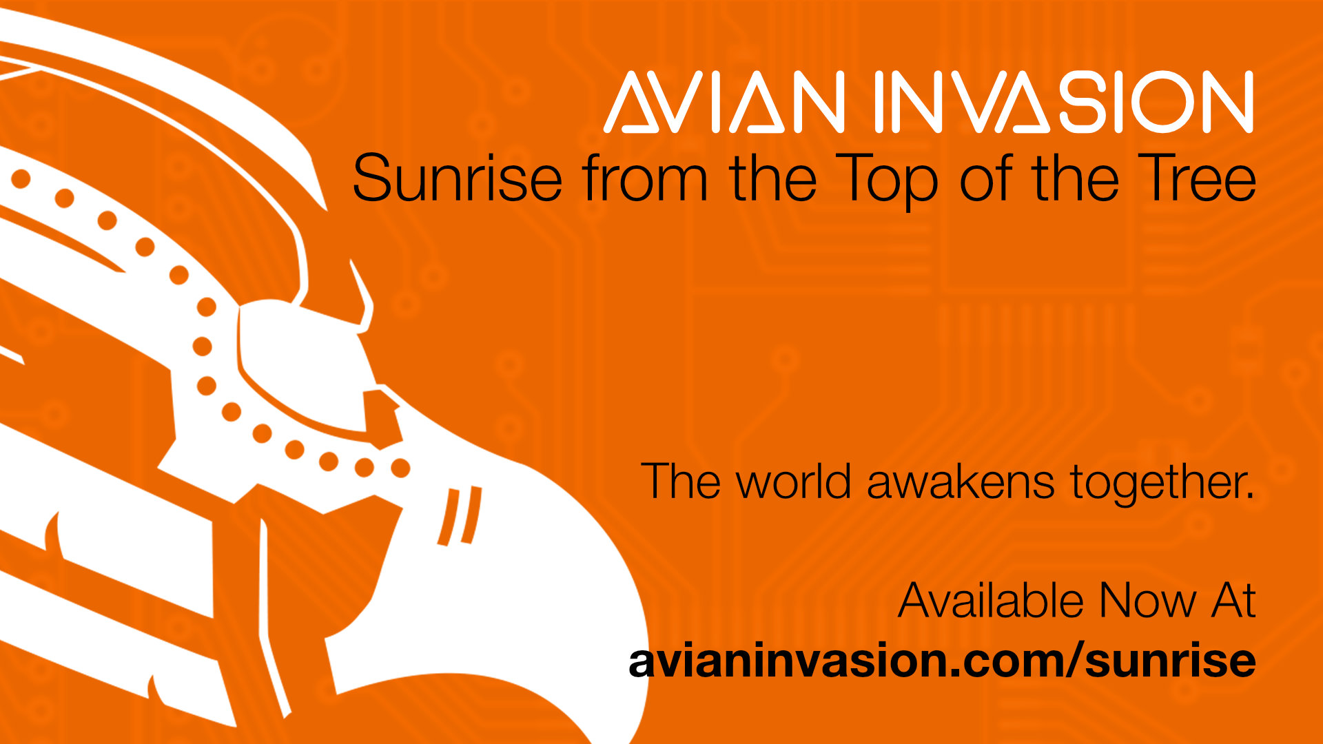 New Avian Invasion Single: “Sunrise from the Top of the Tree”